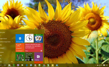 Sunflower screenshot