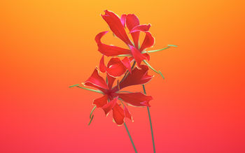 Gloriosa Flower iOS 11 iPhone 8 iPhone X Stock screenshot