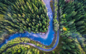 Mountain Loop Highway Drone View 4K screenshot