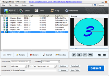 4Easysoft Free FLV Converter screenshot