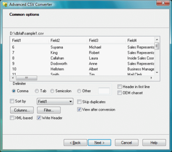 Advanced CSV Converter screenshot 8