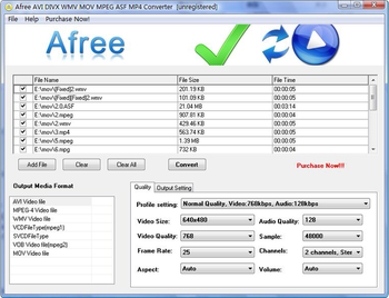 Afree AVI DIVX WMV MOV MPEG Converter screenshot