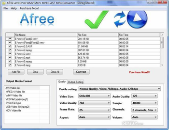 Afree AVI DIVX WMV MOV MPEG Converter screenshot 3