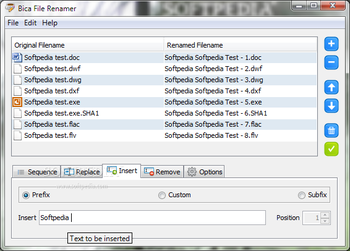 Bica File Renamer screenshot 3