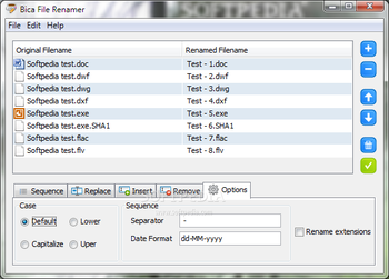 Bica File Renamer screenshot 5