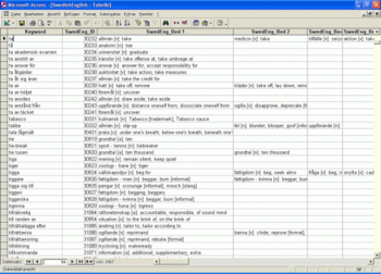 Bilingual Swedish Dictionary Databases screenshot 7