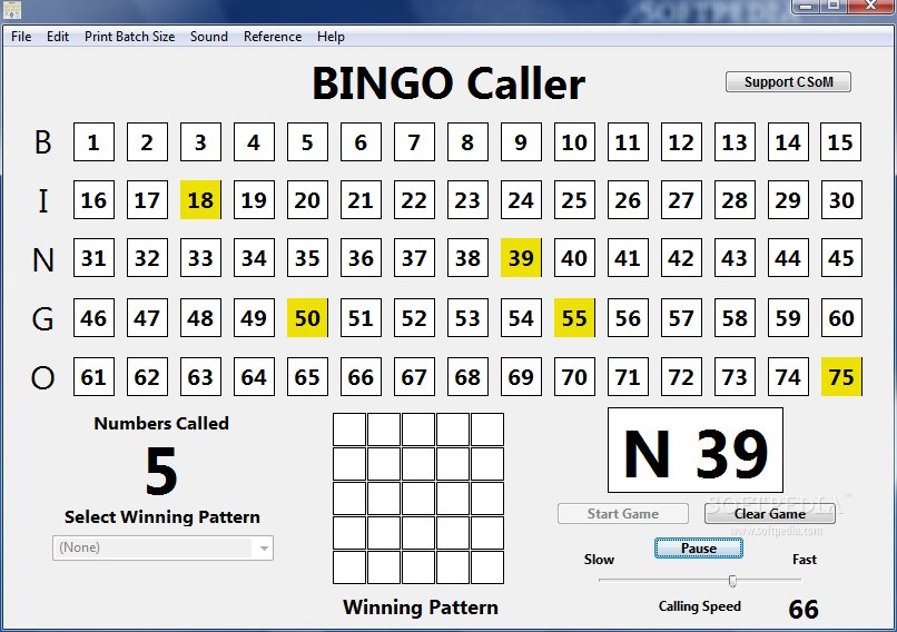 professional bingo caller software