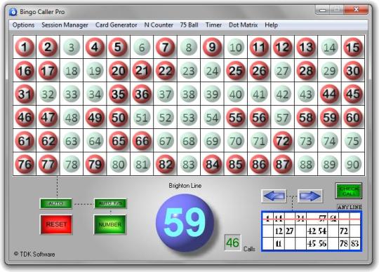bingo caller machine free online