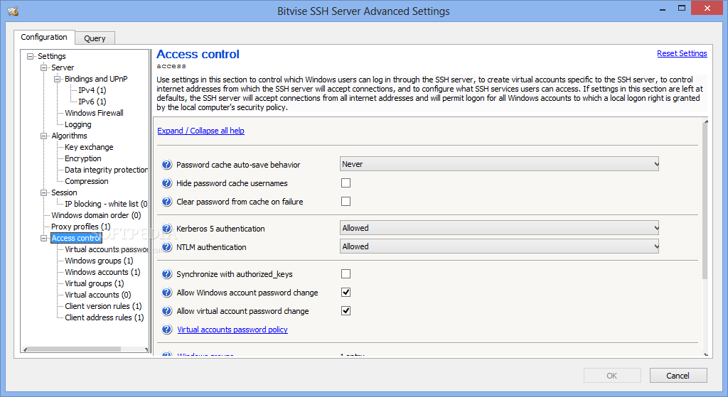 Bitvise SSH Client 9.31 download the new version for windows