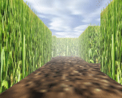 Corn Maze screenshot 2