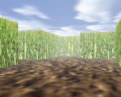 Corn Maze screenshot 3