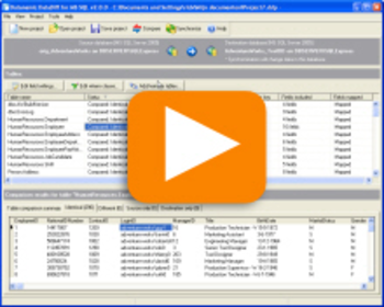 Datanamic DataDiff for MS SQL Server screenshot