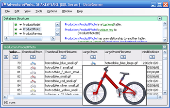 DataRoamer screenshot
