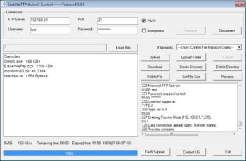 Easewe FTP ActiveX Control screenshot