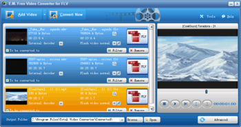 E.M. Free Video Converter for FLV screenshot