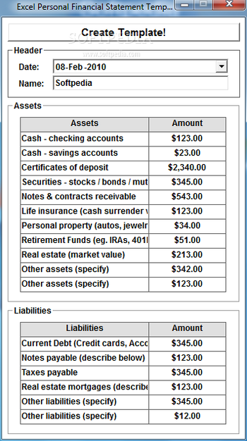 Excel Personal Financial Statement Template Software screenshot