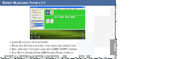 Expert Blackjack Tutor screenshot 2
