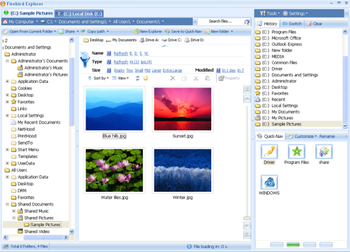 Firebird Explorer Lite Edition screenshot