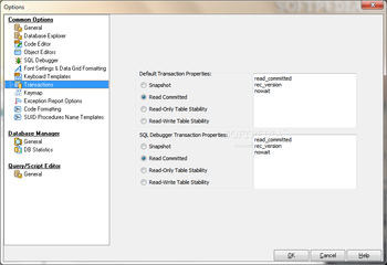 Firebird SQL Studio (formerly Interbase/Firebird Development Studio) screenshot 14