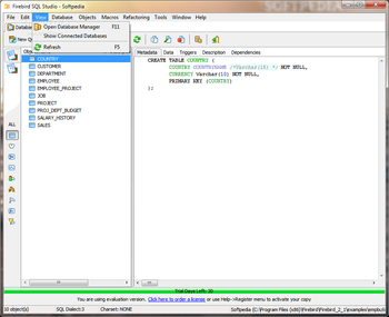 Firebird SQL Studio (formerly Interbase/Firebird Development Studio) screenshot 2