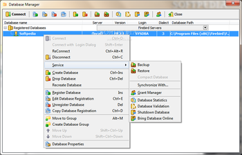 Firebird SQL Studio (formerly Interbase/Firebird Development Studio) screenshot 3