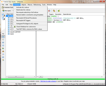 Firebird SQL Studio (formerly Interbase/Firebird Development Studio) screenshot 4