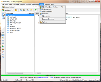 Firebird SQL Studio (formerly Interbase/Firebird Development Studio) screenshot 6