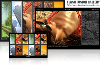 Flash Fusion Gallery screenshot