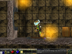 Magebane 2 screenshot 3