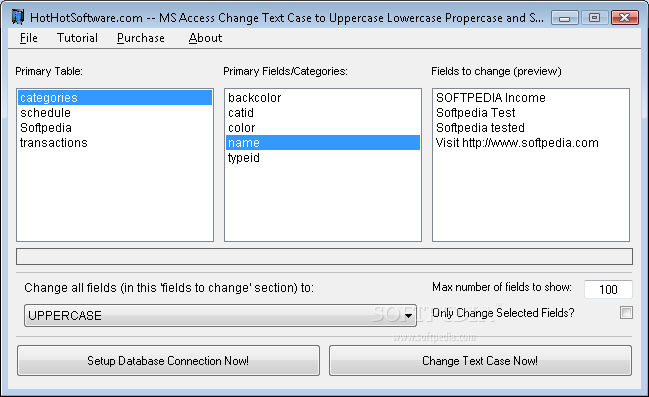 MS Access Change Text Case to Uppercase Lowercase Propercase and