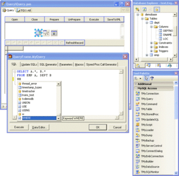 MySQL Data Access Components for RAD Studio 2010 screenshot