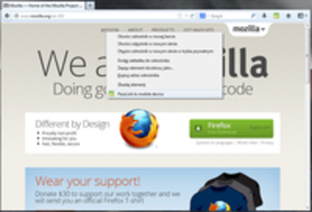 PassLink for Firefox screenshot