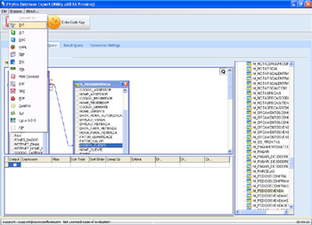 Physis DataBase Database Export Utility screenshot