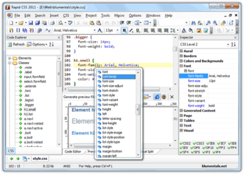 Rapid CSS 2022 17.7.0.248 for windows download free