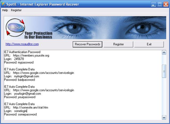 SpotIE Password Recovery screenshot