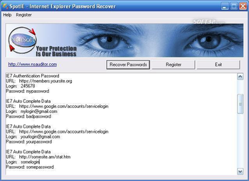 SpotIE Password Recovery screenshot 2