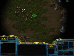 StarCraft: Brood War screenshot 3