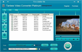 Tanbee Video Converter screenshot 2