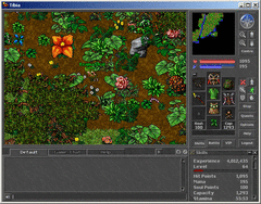 Tibia screenshot 2