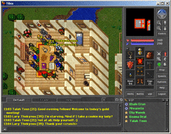 Tibia screenshot 3