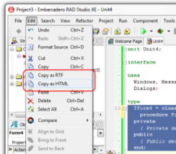 TMS IDE Rich Clip for C++Builder XE2 screenshot