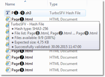 TurboSFV  screenshot 3