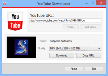 youtube video downloader software free download for windows 8 32 bit