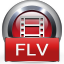 4Videosoft FLV to Video Converter 5