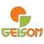 Geisom Professional 2.1