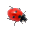 Ladybug on Desktop Screensaver 1