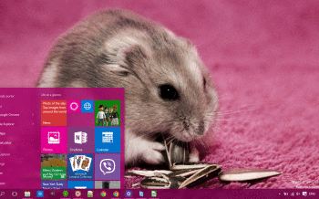Hamster Theme for Windows 10