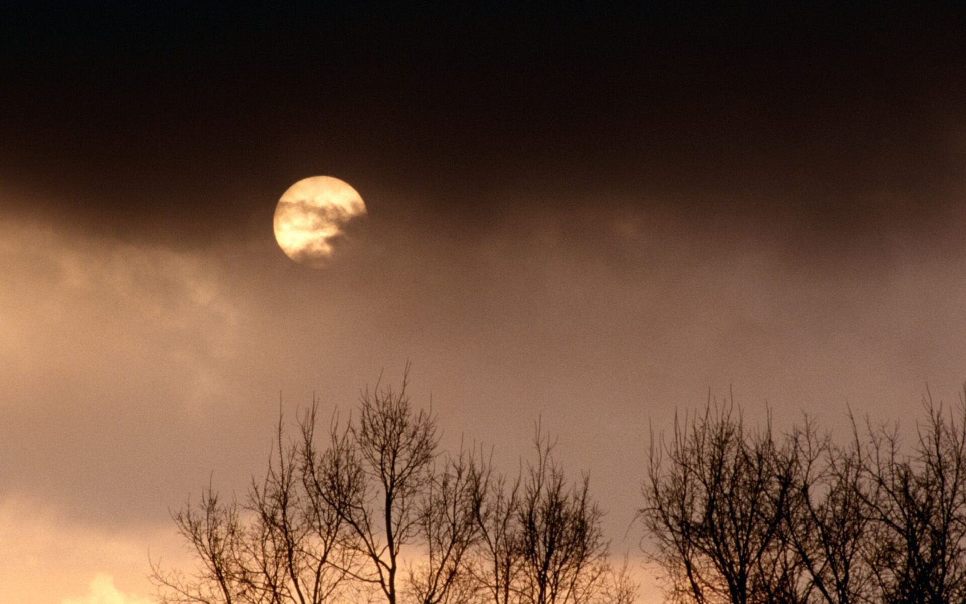 Луна В Тумане
