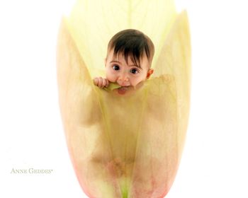 Anne Geddes Cute Baby screenshot