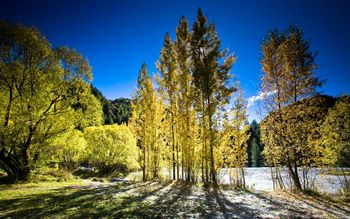 Arrowtown Autumn, New Zealand screenshot